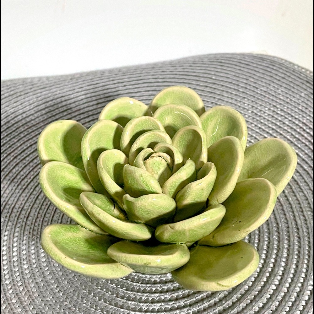 Green Ceramic Succulent - Home Decor